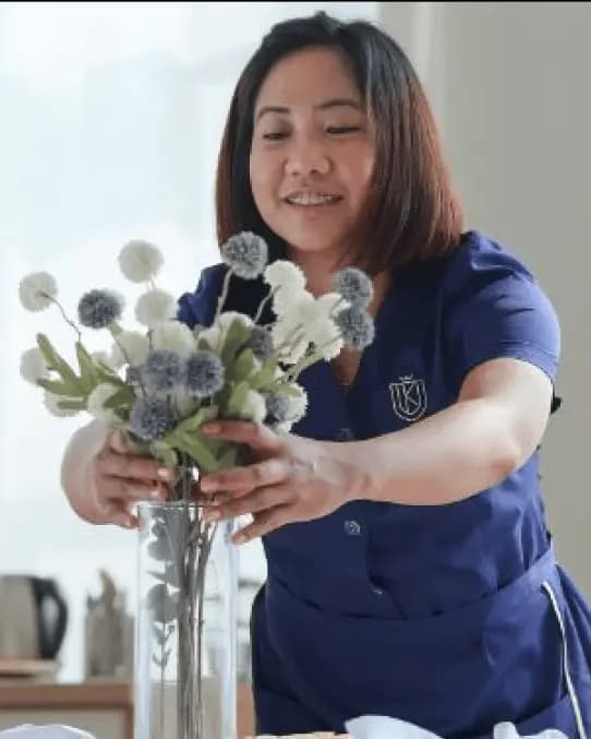 Housekeeping for Cleaners and Nannies